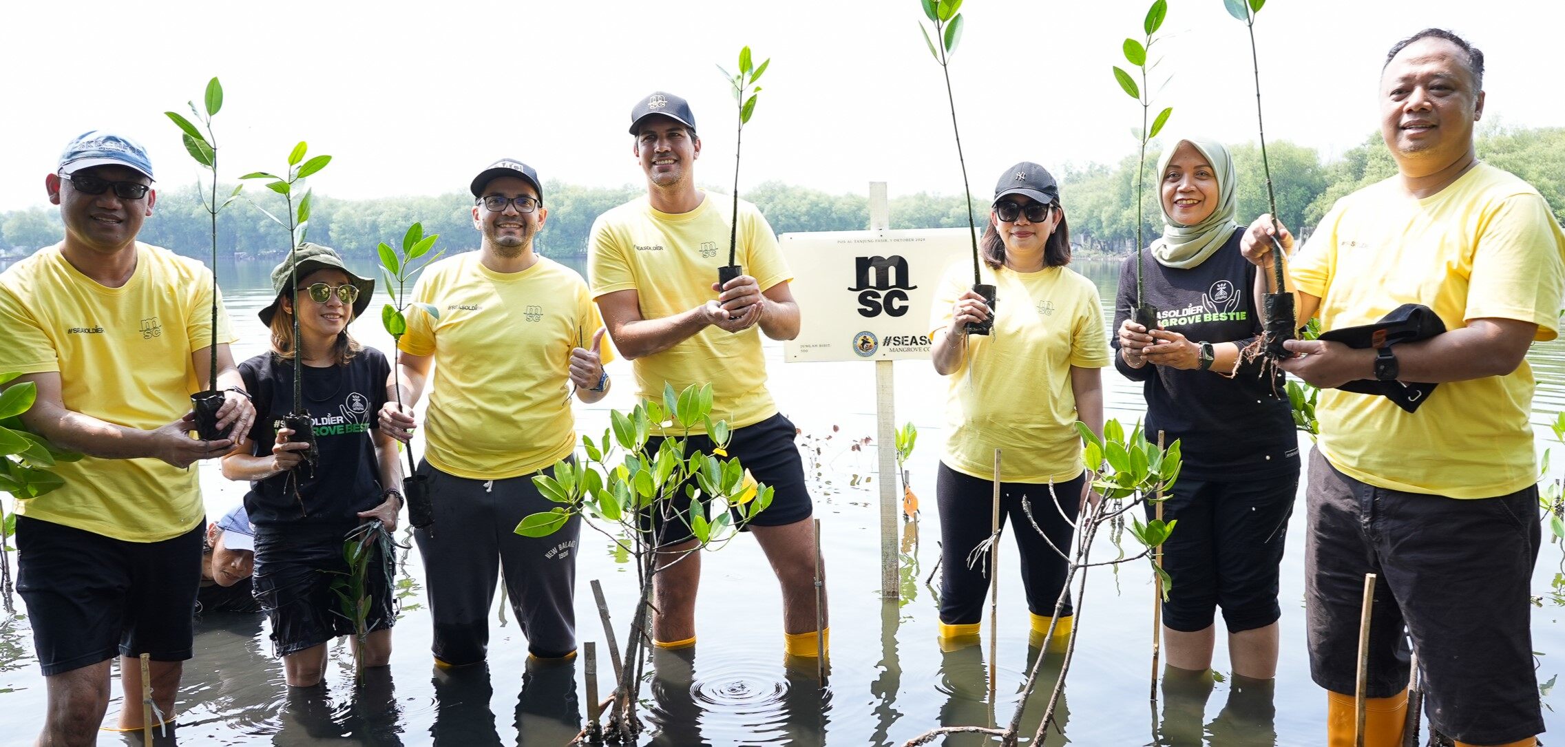 MSC Indonesia Cultivates a Greener and More Equitable Future Through Mangrove Conservation and Educational Support