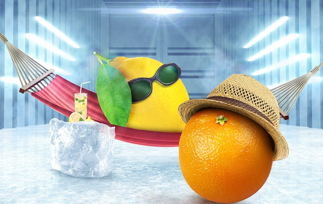 Keeping Your Fruit Fresh: Connect with MSC’s Experts at AFL 2025