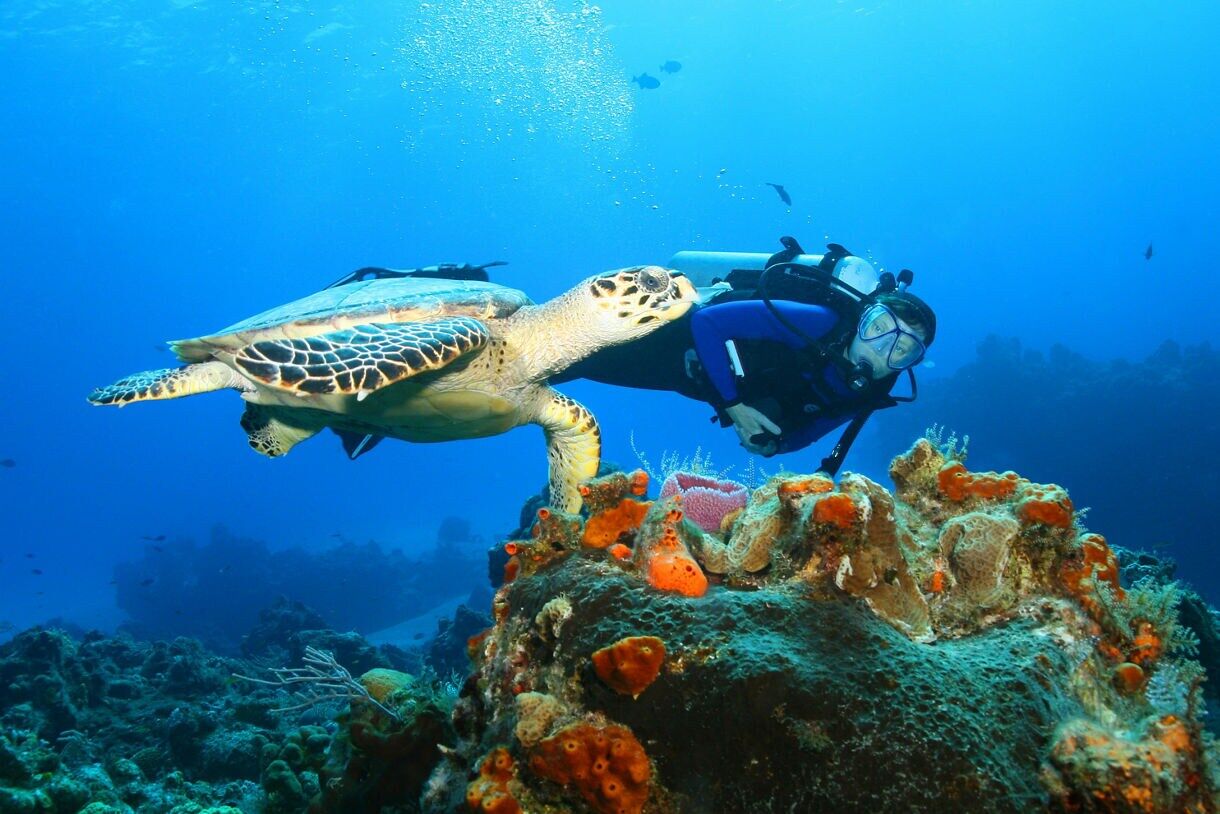 6 Best Caribbean Diving Spots